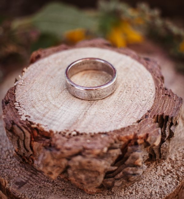 United States Quarter Dollar Ring (State) - Image 2