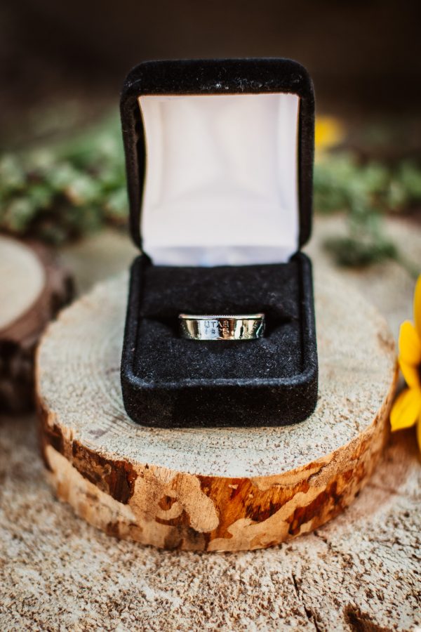 United States Quarter Dollar Ring (State) - Image 6