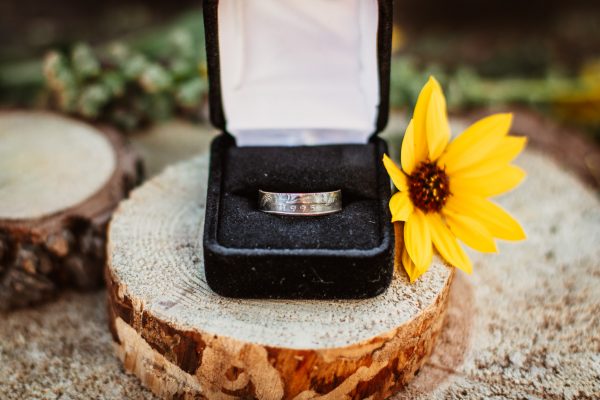 United States Quarter Dollar Ring (State) - Image 7