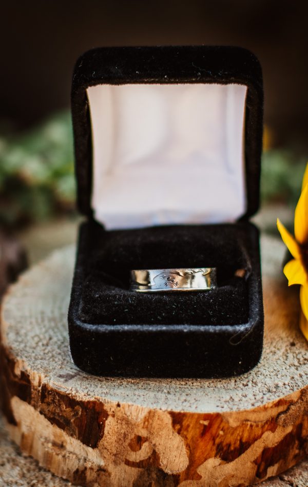 United States Quarter Dollar Ring (State) - Image 8